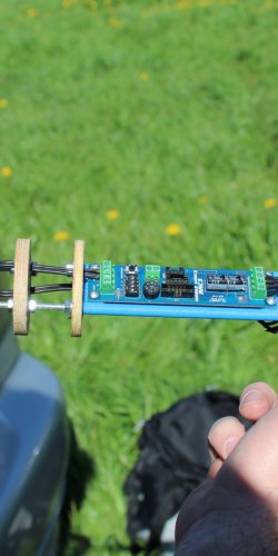 E bay z Black Branta